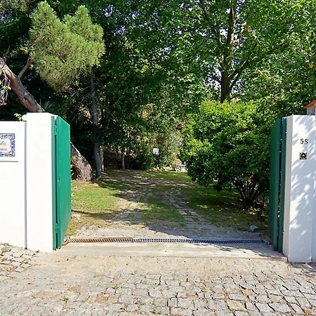 Casa Dos Platanos Near The Center Of Amarante, Golf Course And Water Park.